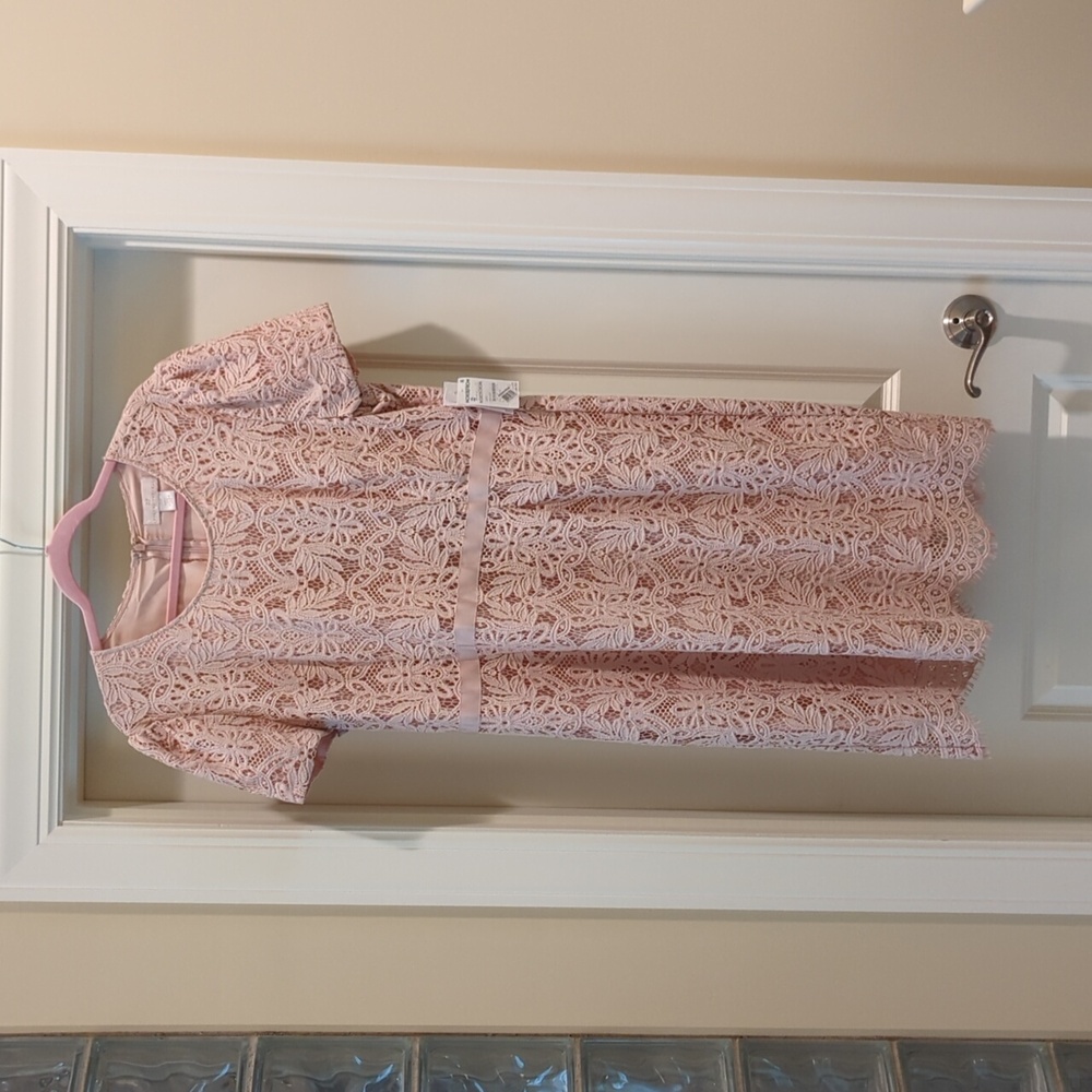 New with tags, short-sleeve Rachel Parcell blush lace dress XXL